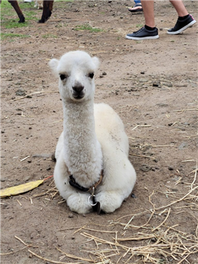 제 23회 RF/아날로그회로 워크샵(2023/09/21 - 2023/09/23)